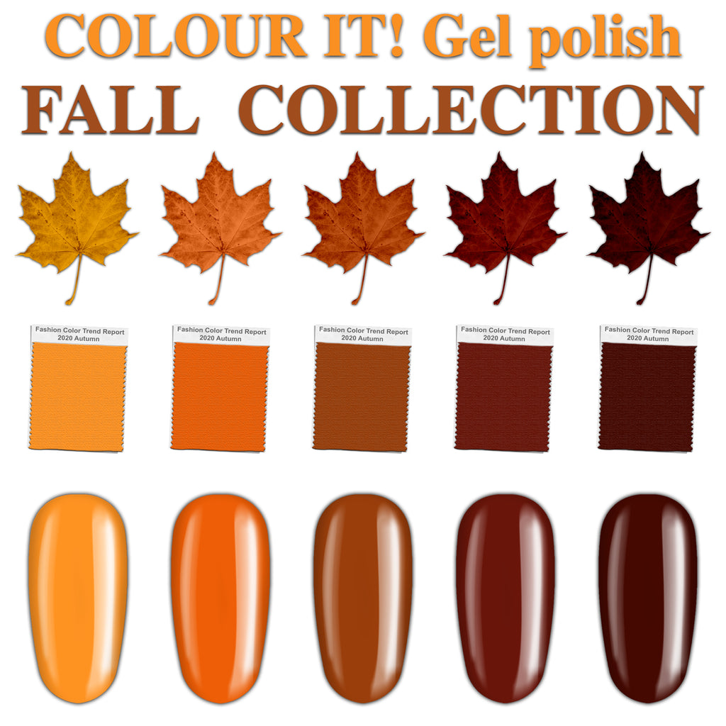 COLOUR IT! FALL COLLECTION